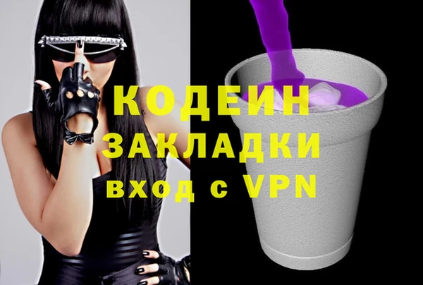 твердый Инсар
