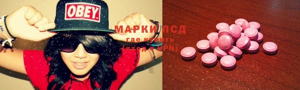 винт Инта