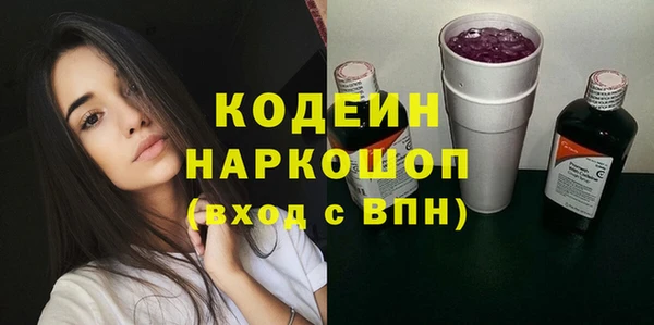 шишки Кемь