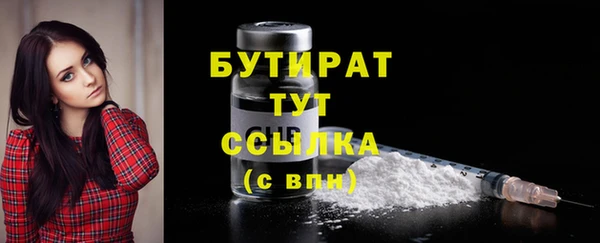 твердый Инсар