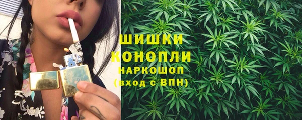 винт Инта