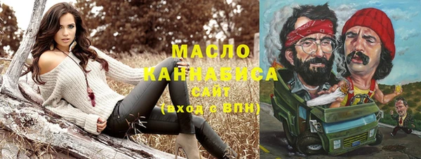 твердый Инсар