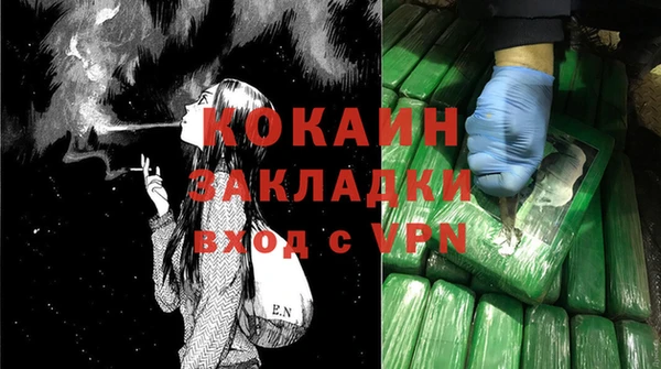 твердый Инсар