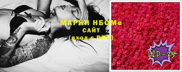 винт Инта
