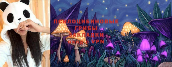 твердый Инсар