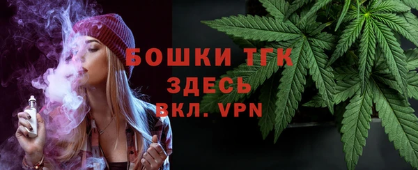 винт Инта