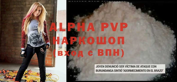 винт Инта