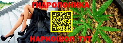 ALPHA PVP Берёзовский