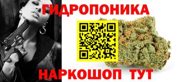 сатива Бийск