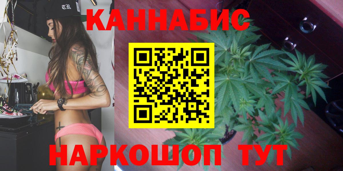 Каннабис планчик Калач-на-Дону